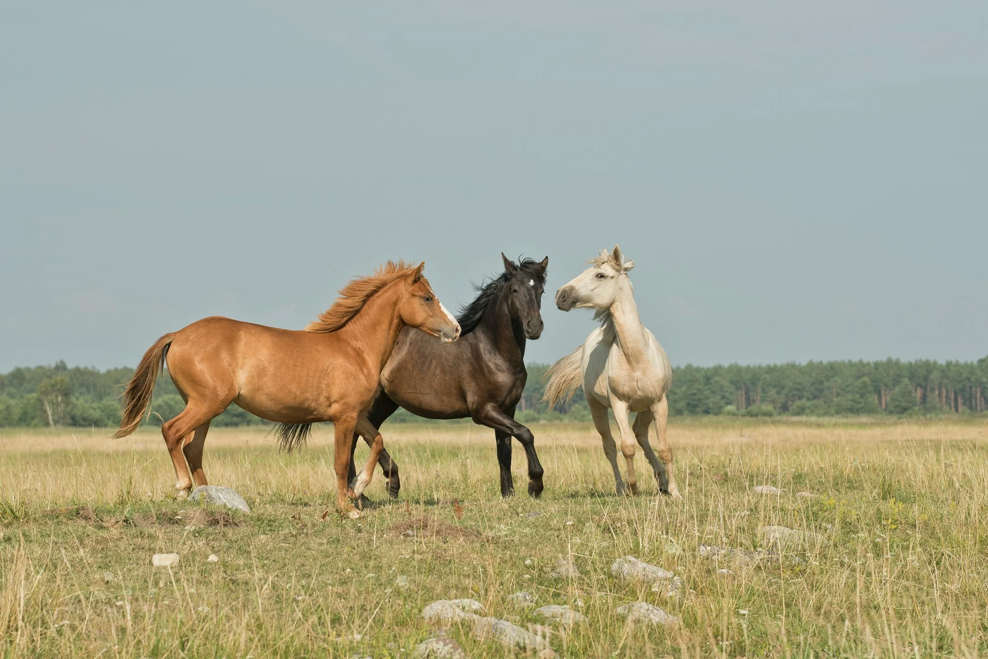 annika treial e4WUwbcur7Y unsplash 1